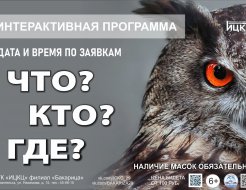 Интерактивная программа «Что? Кто? Где?»