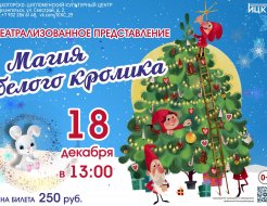 Спектакль «Магия белого кролика»