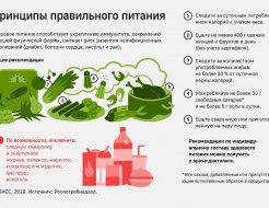 Принципы здорового питания
