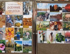Итоги проведения конкурса «Осенние чудеса»